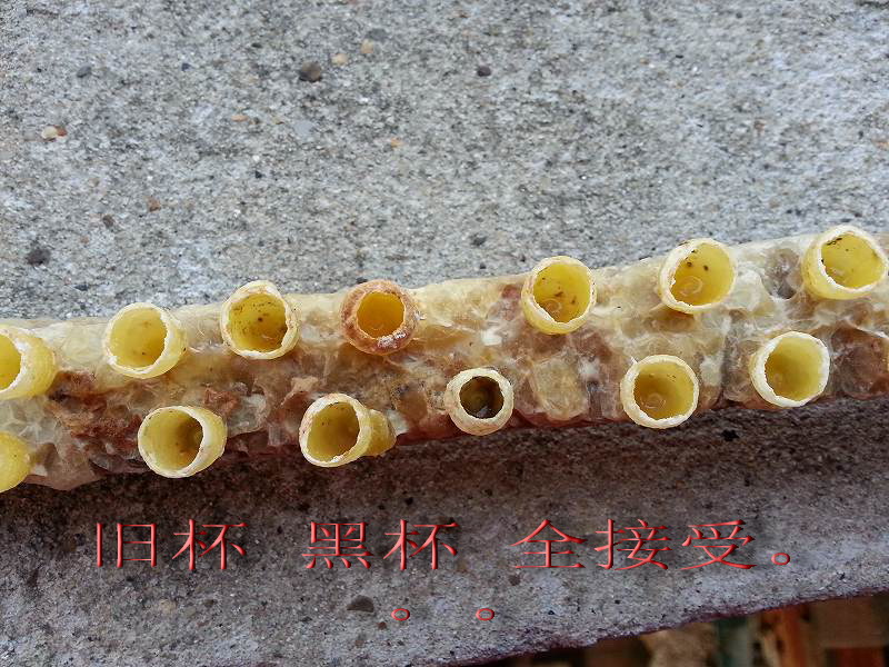 20150808_191254.jpg