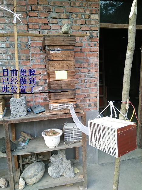 IMG20160330181110.jpg