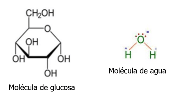 molecula-de-glucosa.png