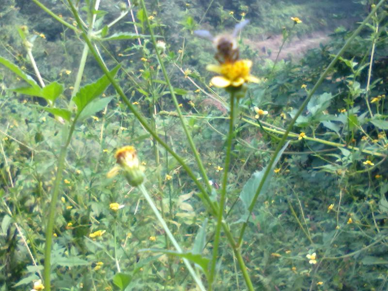 20131001003.jpg