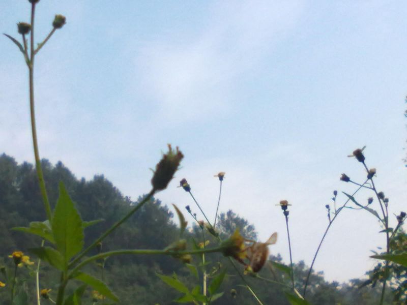 20131001011.jpg
