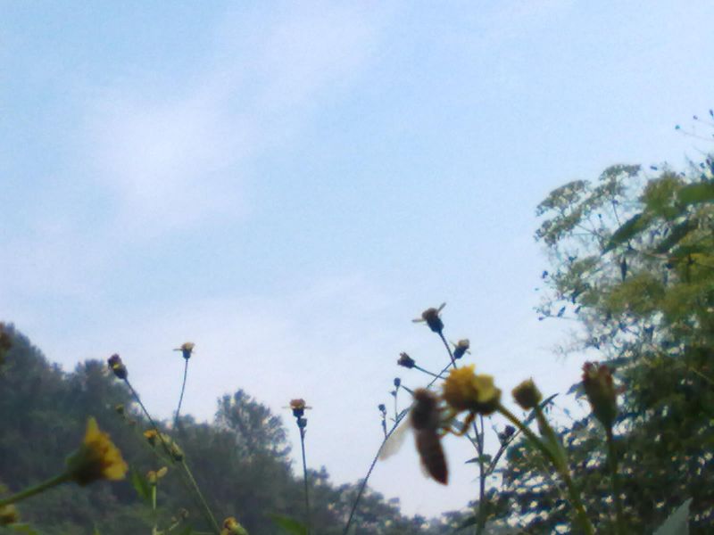 20131001012.jpg