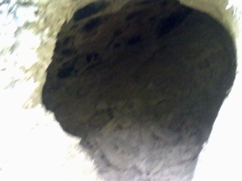 20131001015.jpg