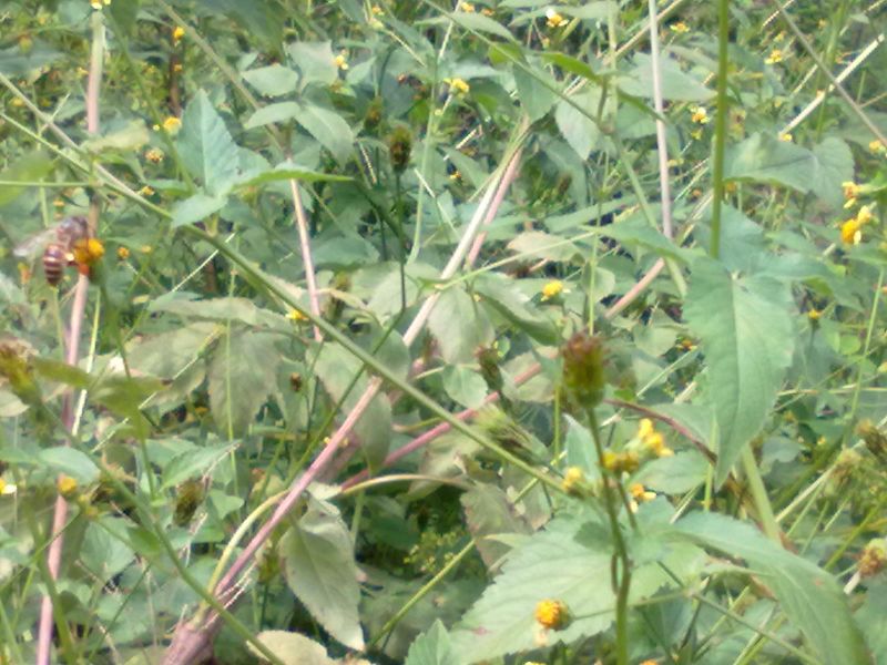 20131001023.jpg