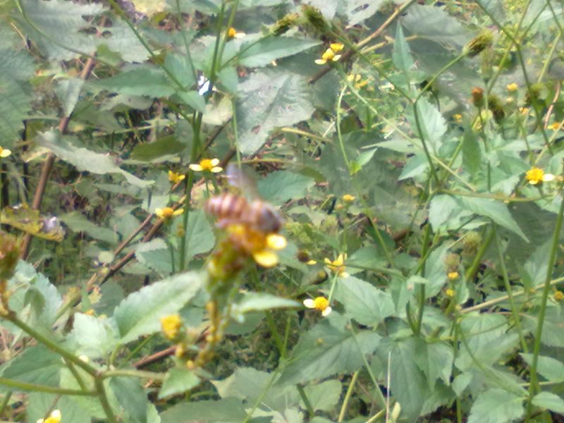 20131001024.jpg