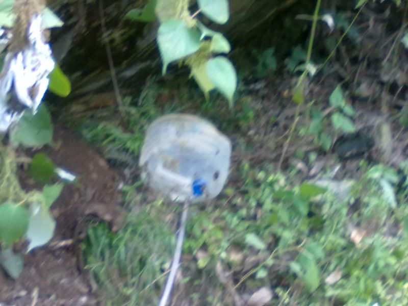 20131001027.jpg