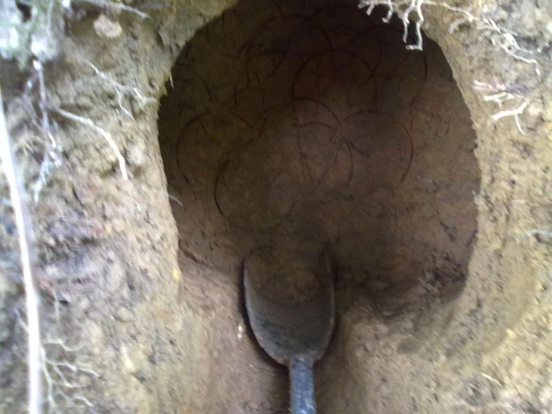 20131002029.jpg