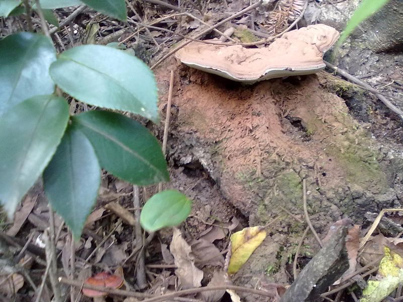 20131002036.jpg