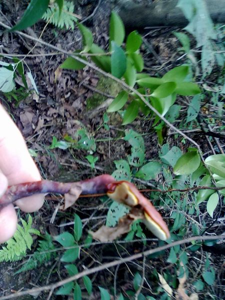 20131002039.jpg