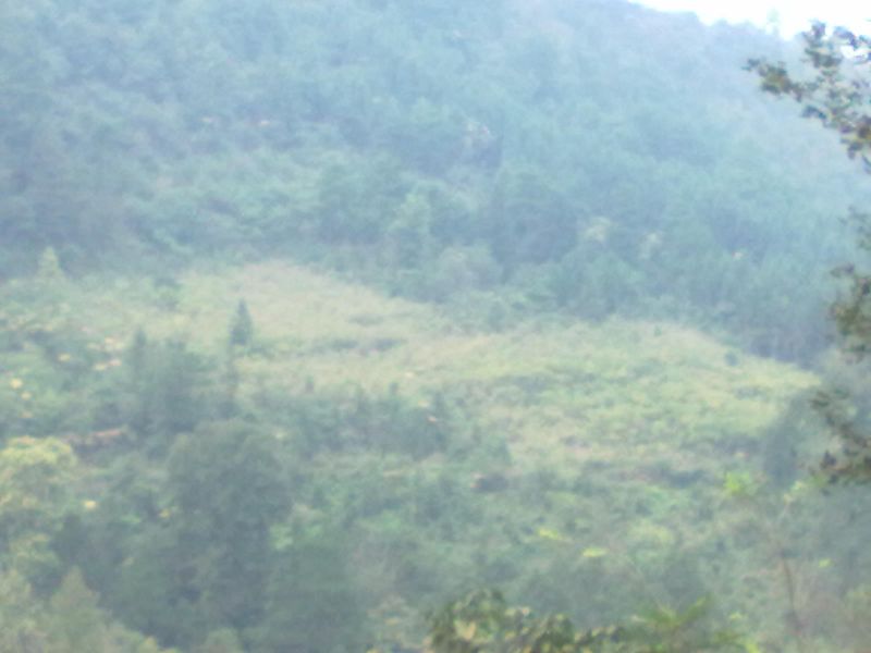 20131002045.jpg