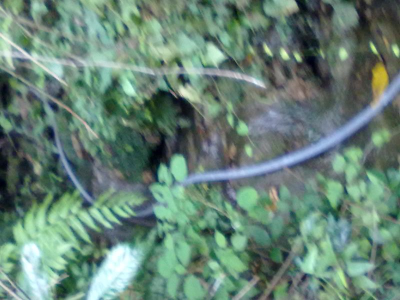 20131002050.jpg