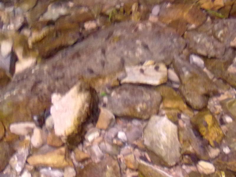 20131002053.jpg
