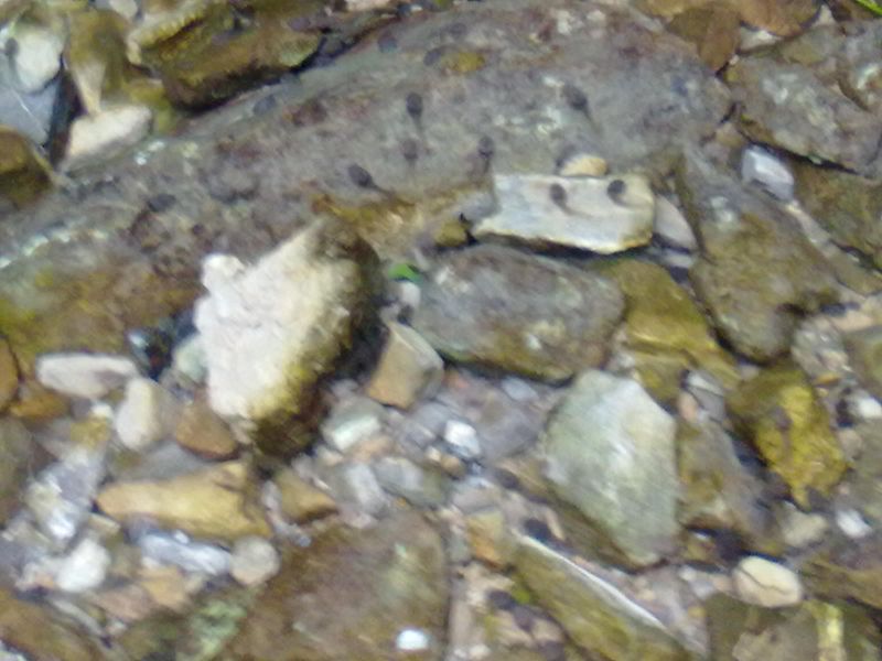 20131002054.jpg