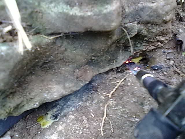 20131003078.jpg