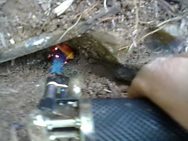 20131003081.jpg