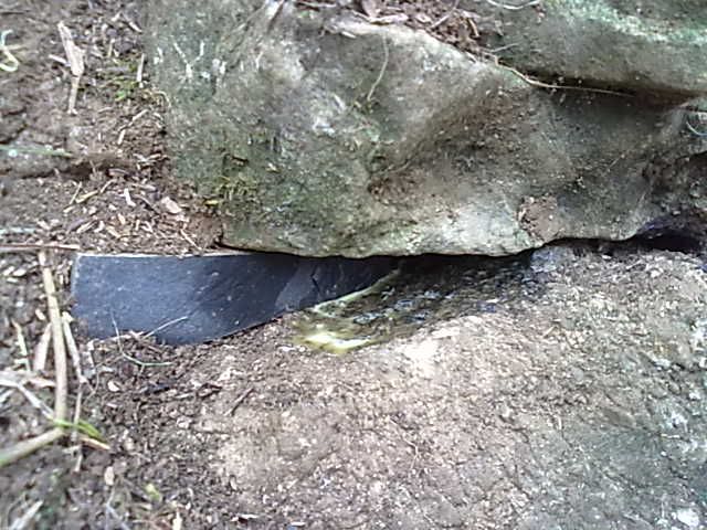20131003085.jpg