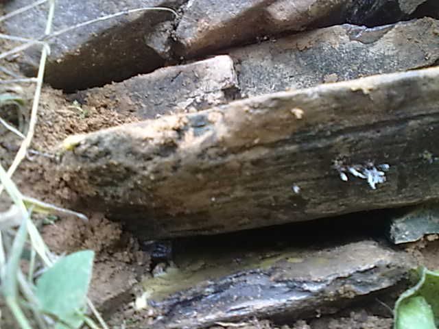 20131003094.jpg