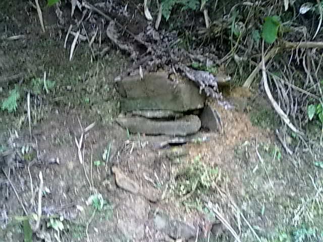 20131003104.jpg