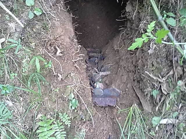 20131004146.jpg