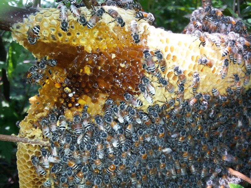 20130811_132831.jpg