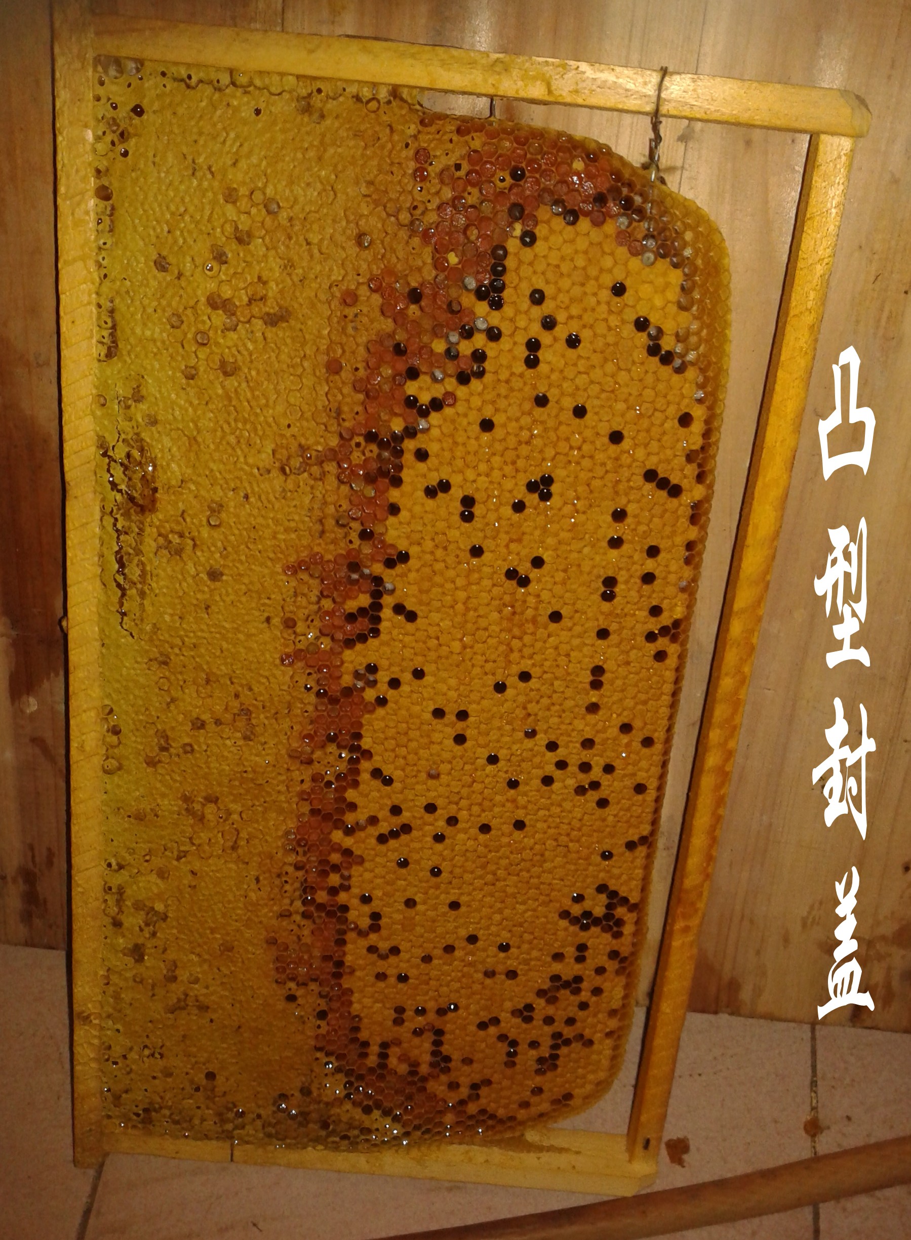20141130_072443_conew2.jpg