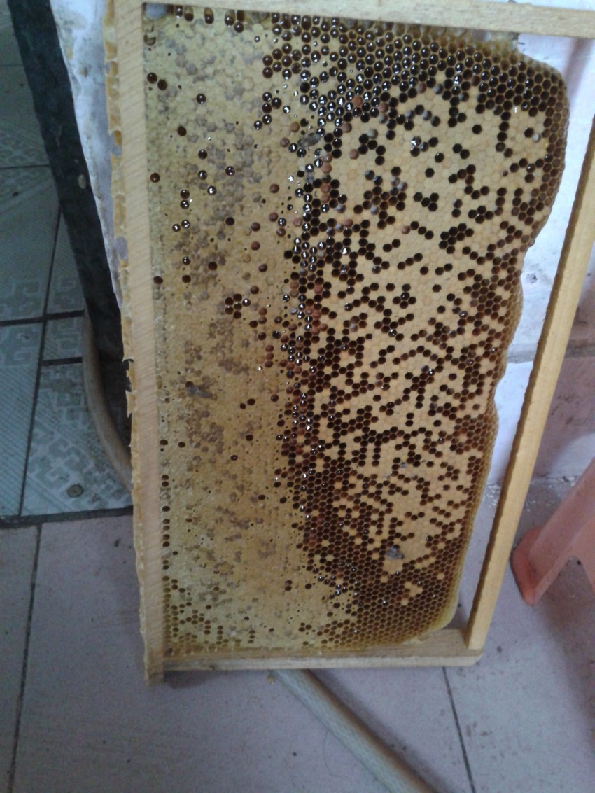 20141129_084054_conew1.jpg