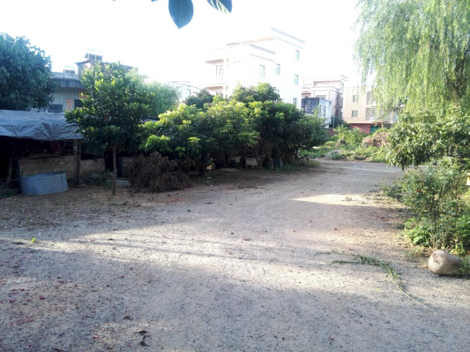 䳡Զ