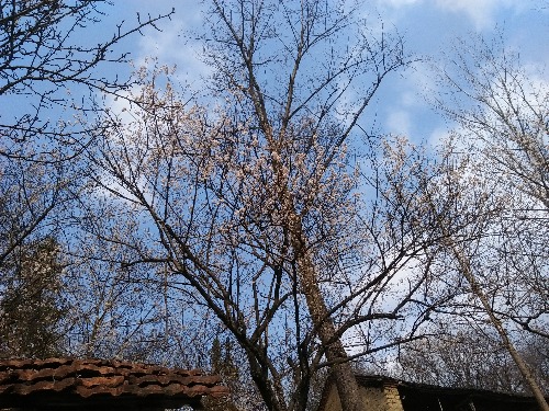 IMG20160304135430.jpg