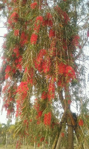 20160306_174822.jpg