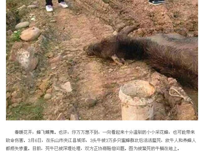 QQ截图20160309170216.jpg
