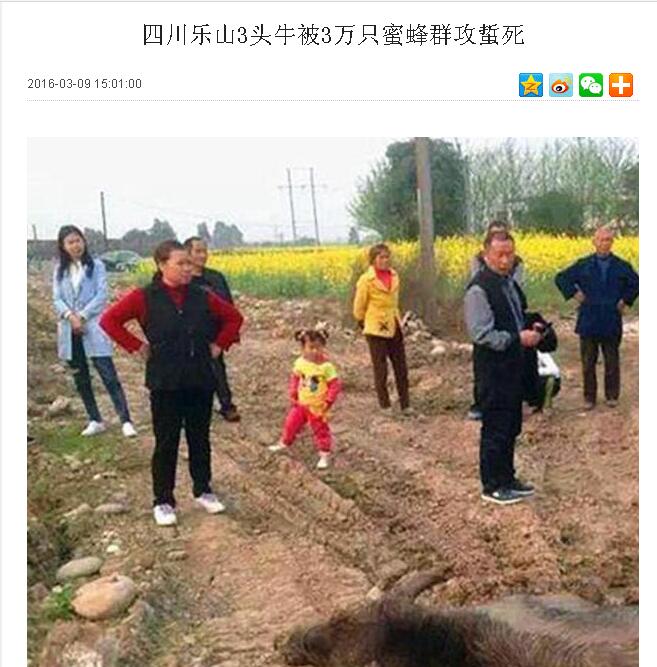 QQ截图20160309170201.jpg