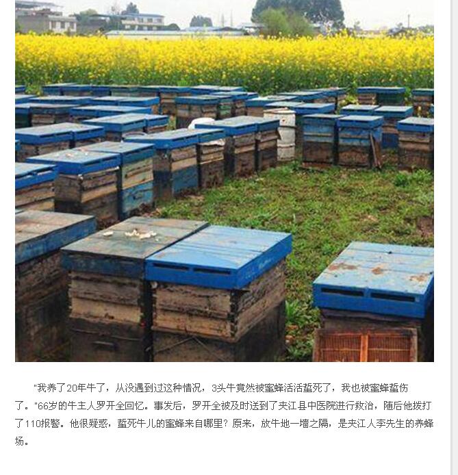 QQ截图20160309170257.jpg