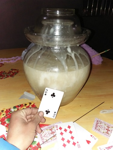 IMG20160330201407.jpg