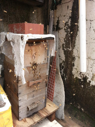20160424_123813.jpg