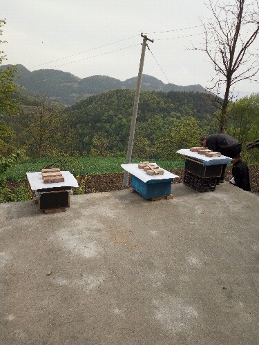IMG20160426150935.jpg