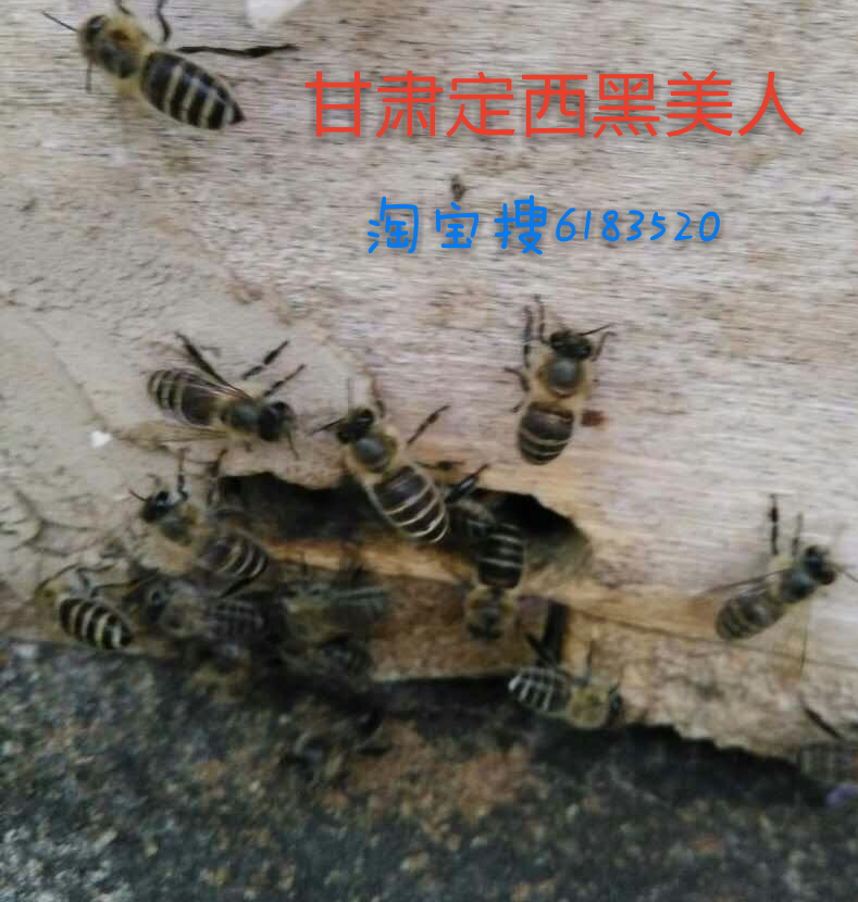 ˽.jpg