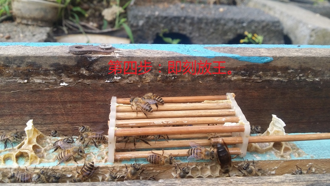 20160701_073745.jpg