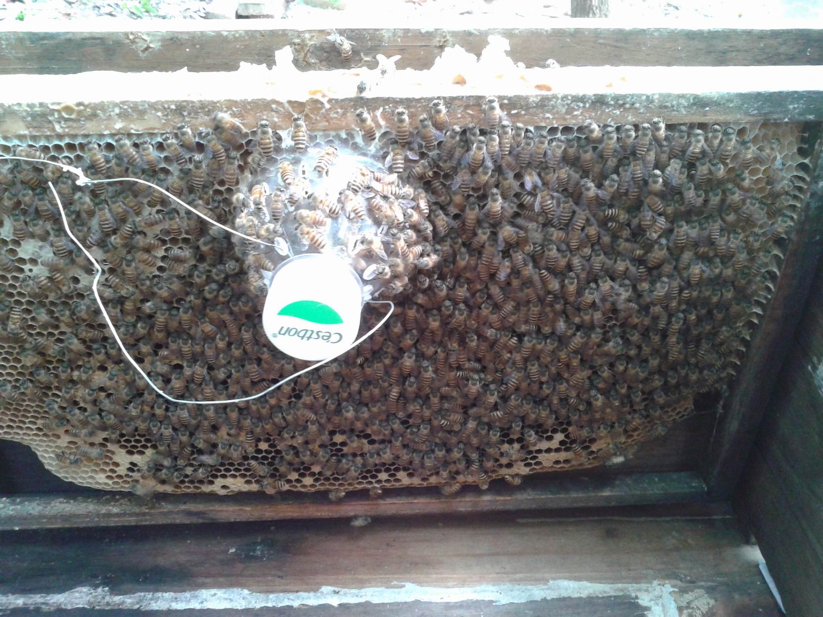 20160827_145630.jpg