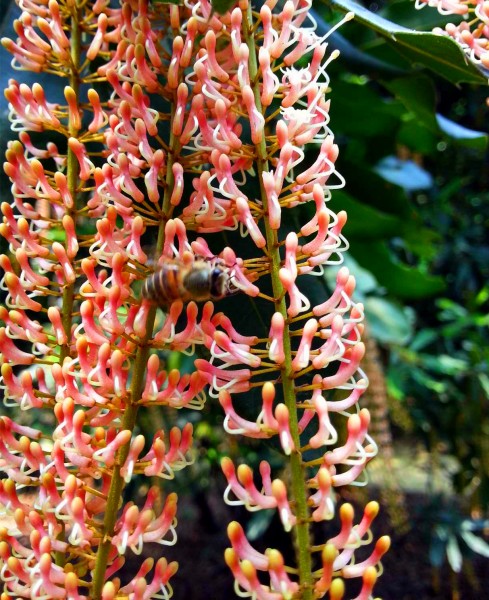 20140326_125926.jpg