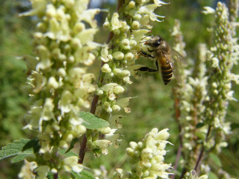 DSCF5511_001.JPG