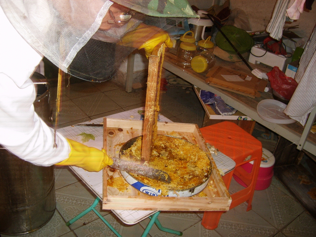 S6001607.jpg