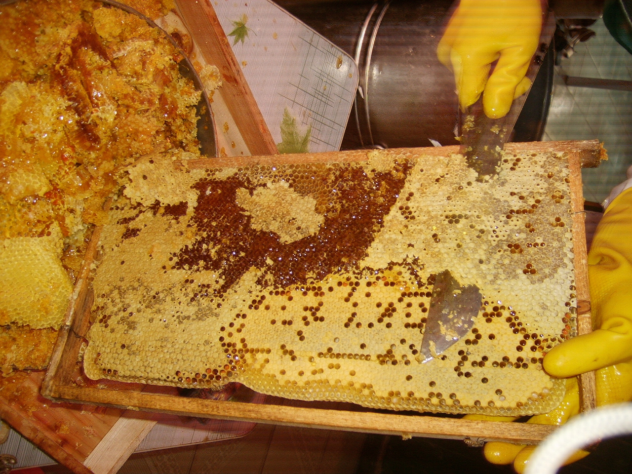 S6001628.jpg