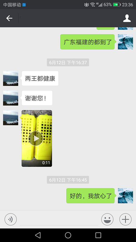 Screenshot_20170619-233634.png