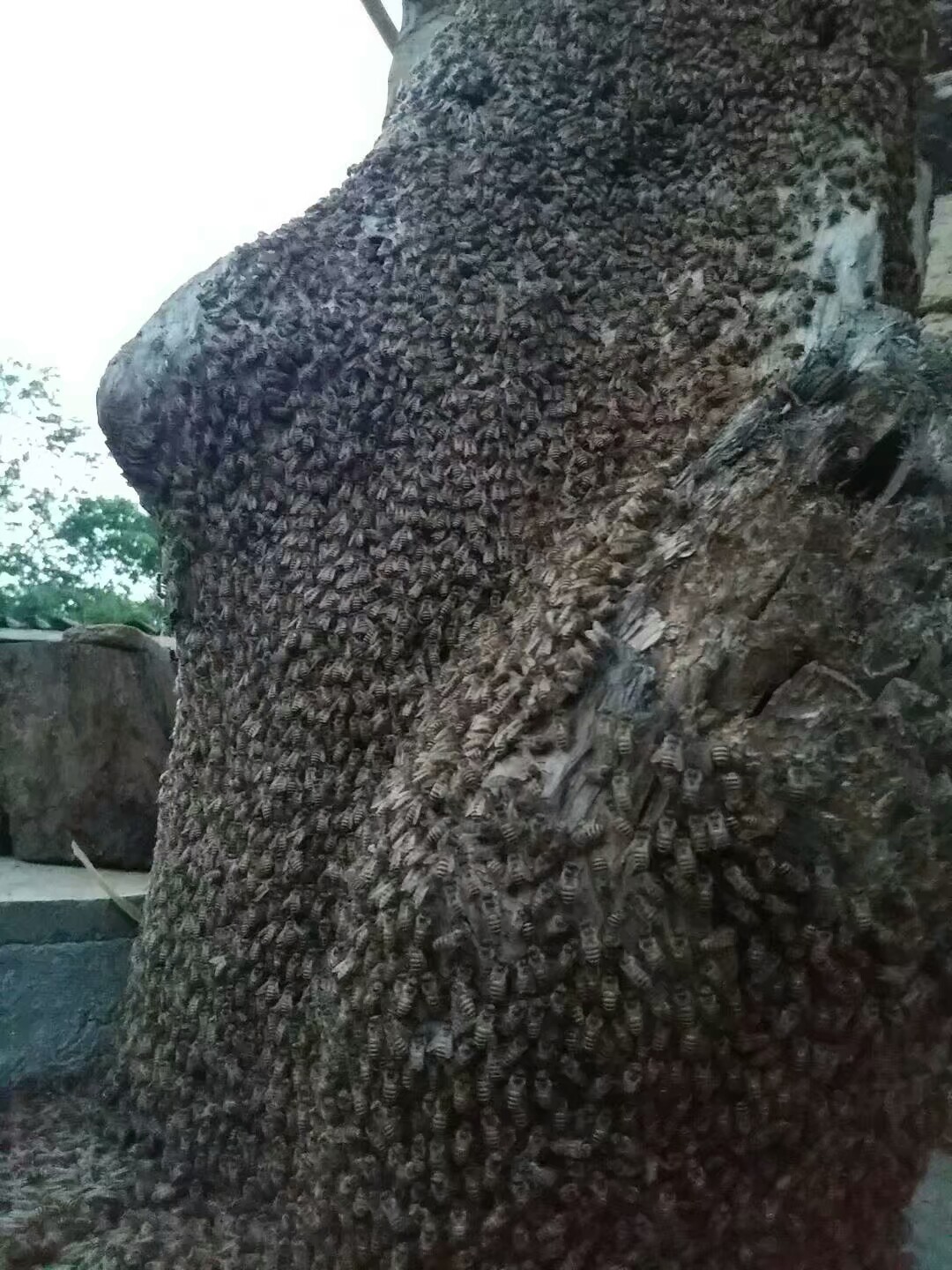 1500897844091.jpeg