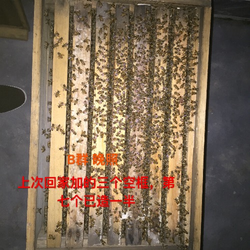 image.jpeg