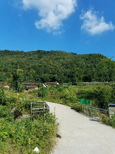 20170826_154128.jpg