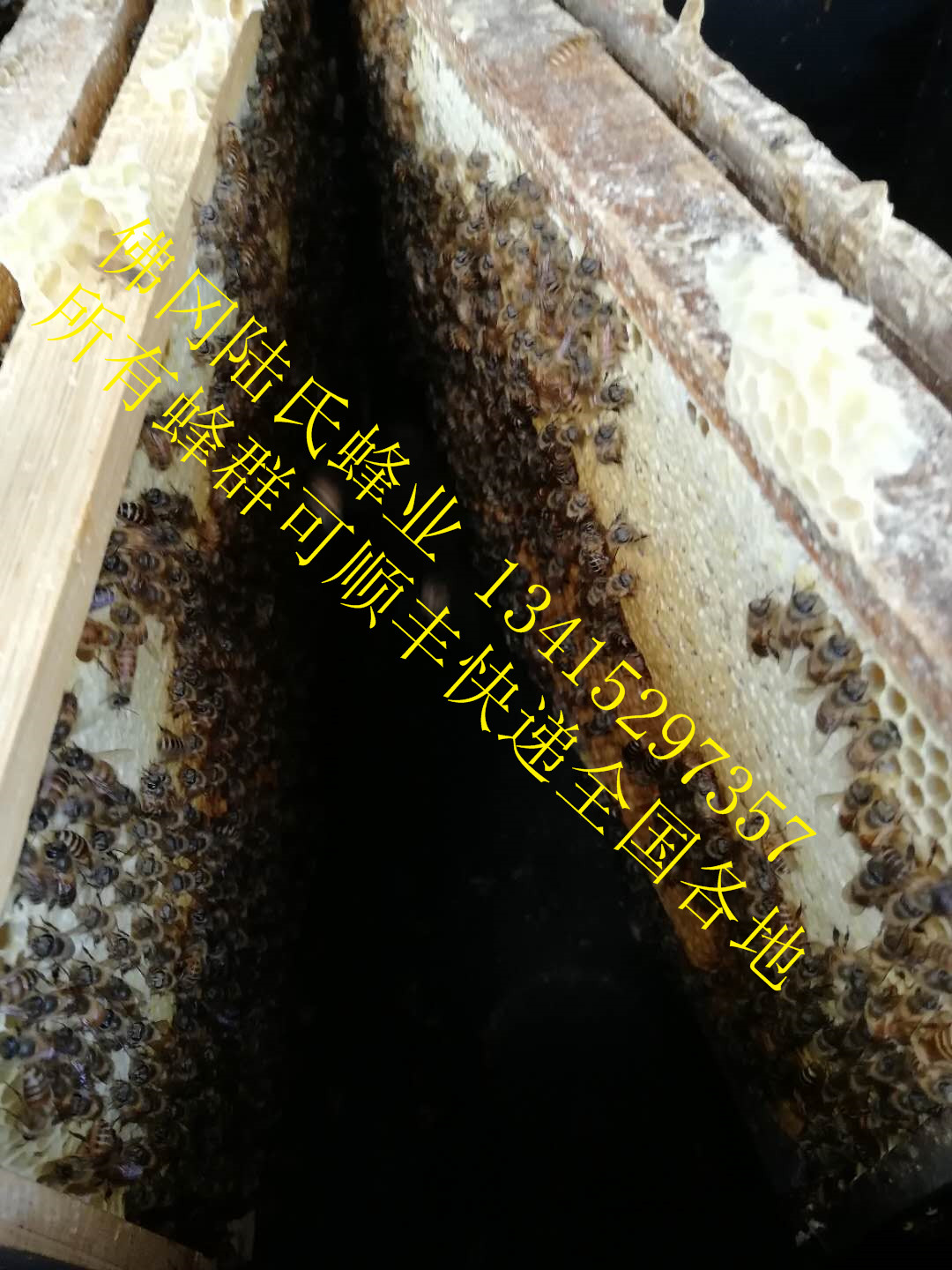 ΢ͼƬ_20180225132515.jpg
