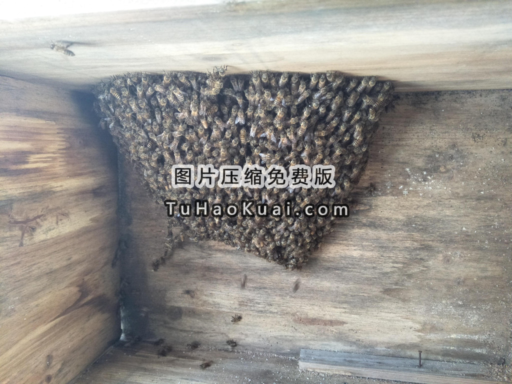 Ѱôˮӡ淳