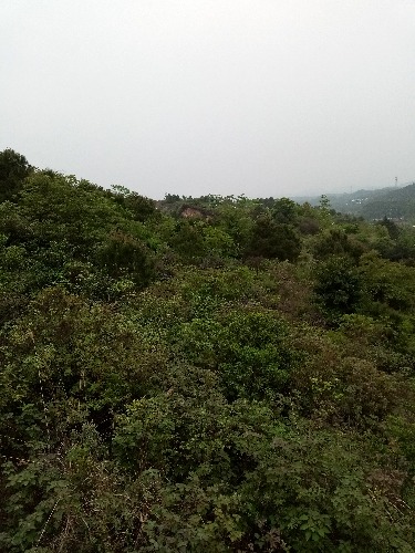 IMG_20180329_170108.jpg