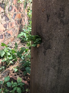 堵洞后的情况